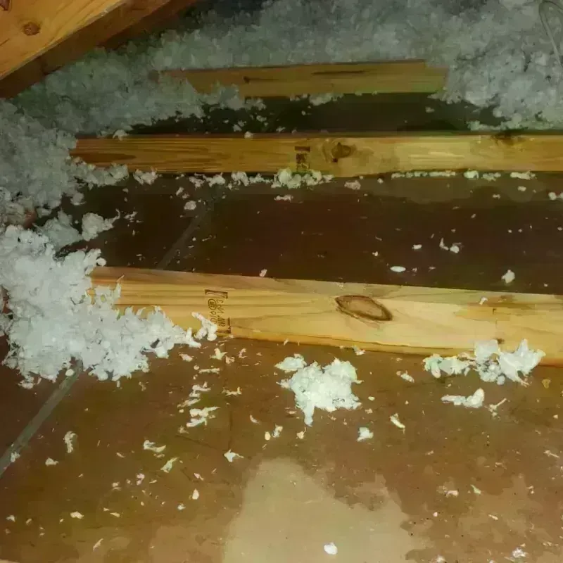 Attic Water Damage in Arcadia, FL