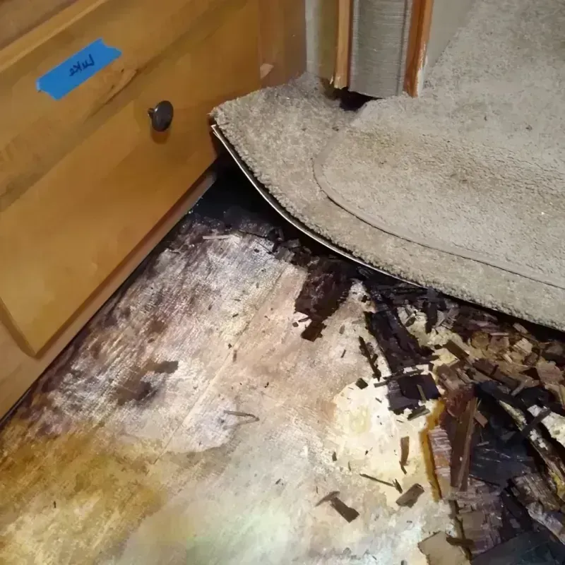 Wood Floor Water Damage in Arcadia, FL